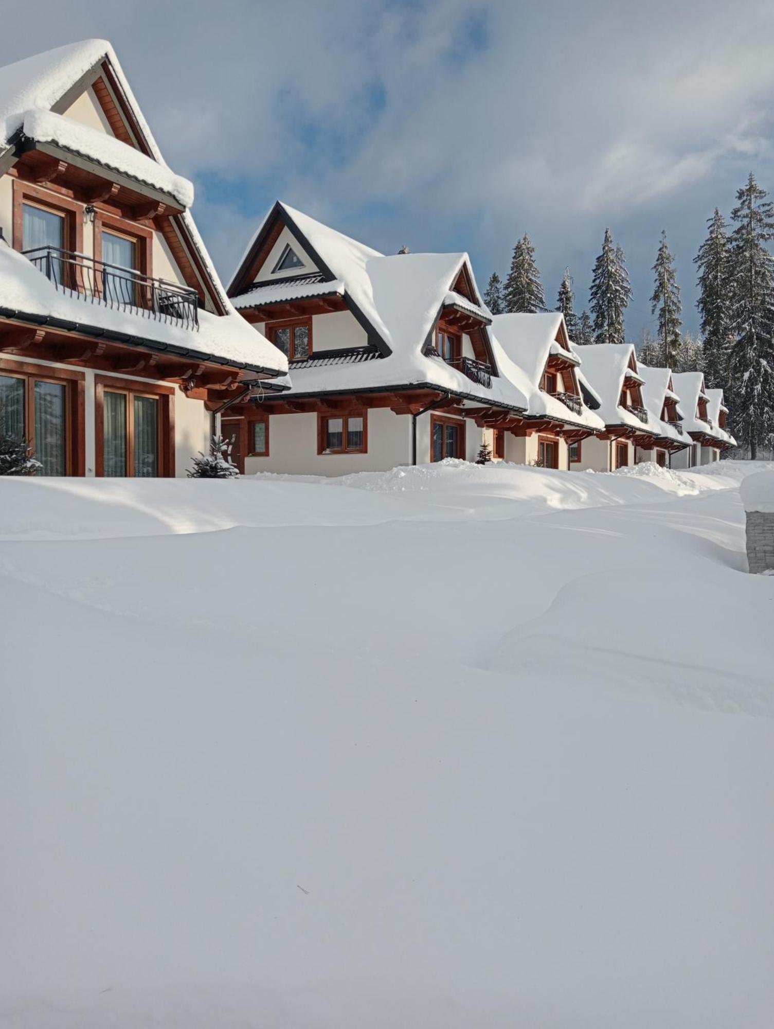 Dom wakacyjny Podhale - Podhalanskie Zakopane
